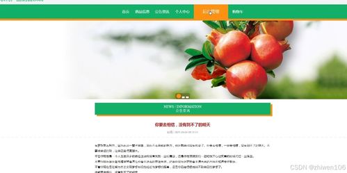 基于Node.js與Vue.js的農特產品銷售系統計算機畢業設計