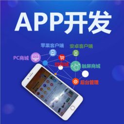 專業(yè)App開發(fā)如何實(shí)現(xiàn)效益快？軟件開發(fā)公司的選擇與策略