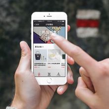 天津市龍華新技術(shù)開發(fā)公司 玩具、電子產(chǎn)品與軟件的互聯(lián)網(wǎng)銷售新勢力